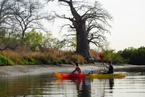 Sénégal - Sine-Saloum - Canoë