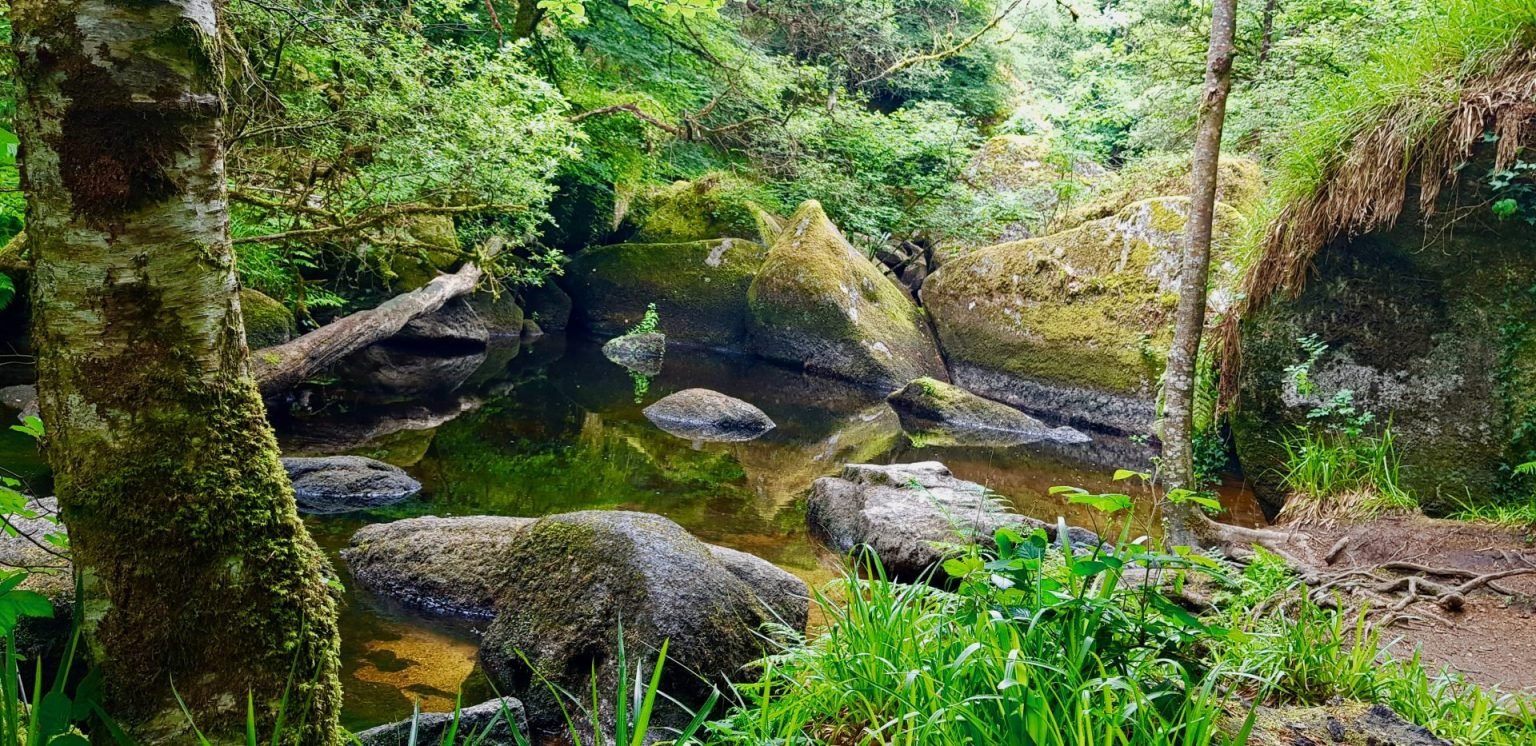 La Foret D Argent Huelgoat, forêt magique. | unelimonadeatombouctou.fr